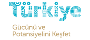 TIM_logo TIM_logo
